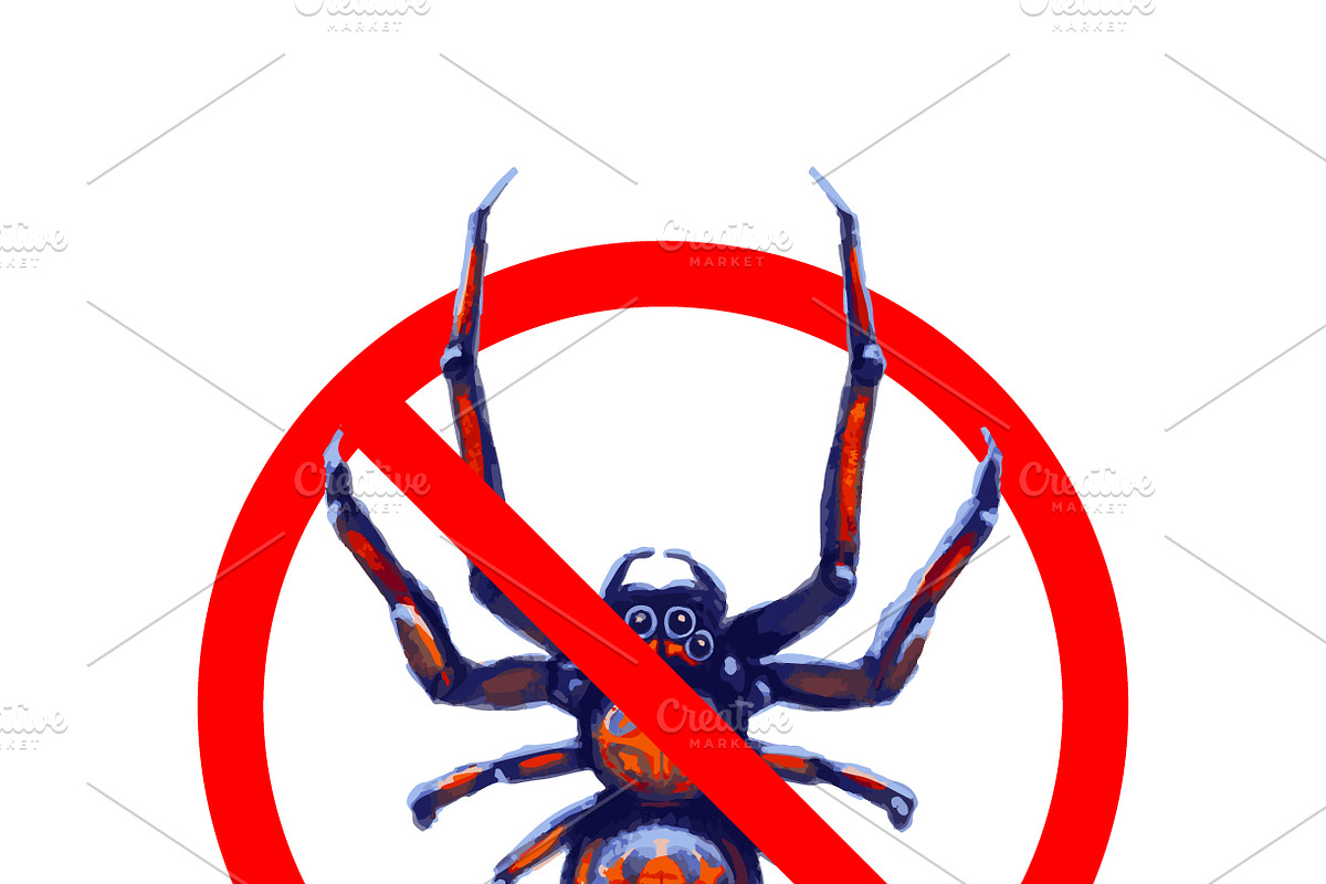 Exotic spiders forbidden in Objects - product preview 8