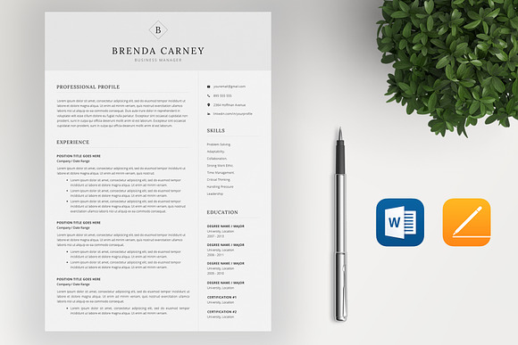 Clean Resume CV in Resume Templates - product preview 1