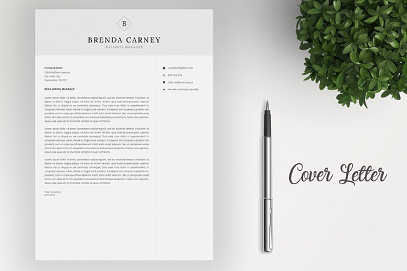 Clean Resume CV in Resume Templates - product preview 3
