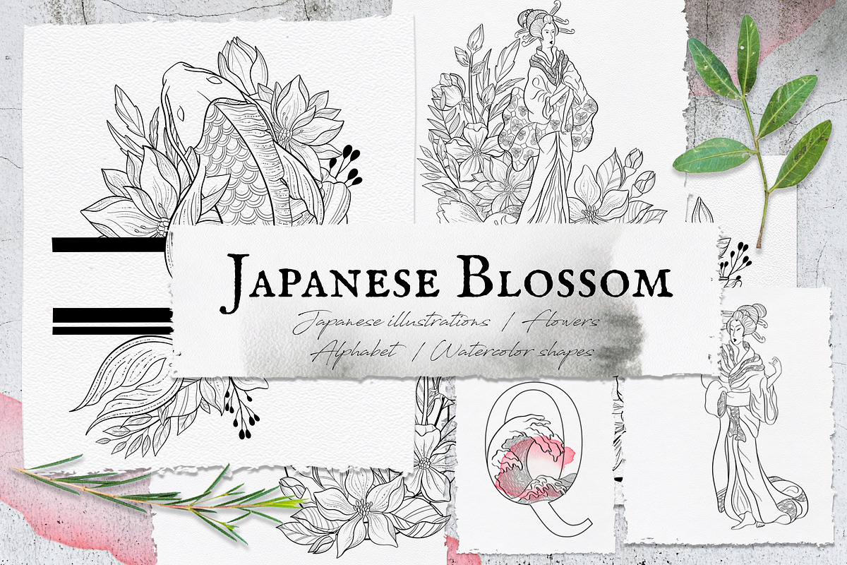 Japanese Blossom. Graphic Collection in Illustrations - product preview 8