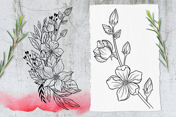 Japanese Blossom. Graphic Collection in Illustrations - product preview 9