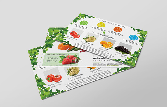 Farm Promotion PostCard in Postcard Templates - product preview 1
