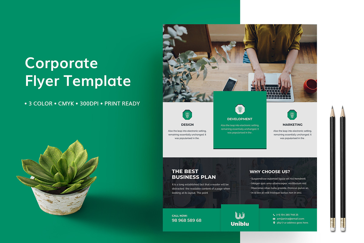 Flyer Template  in Flyer Templates - product preview 8
