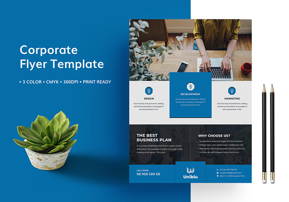 Flyer Template  in Flyer Templates - product preview 1