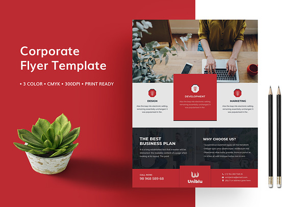 Flyer Template  in Flyer Templates - product preview 2