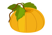 Pumpkin with Green Leaves Vector