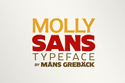Molly Sans - 25 fonts!