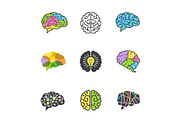 Brain colored symbols. Creative mind