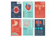 Medical infographic pages. Health