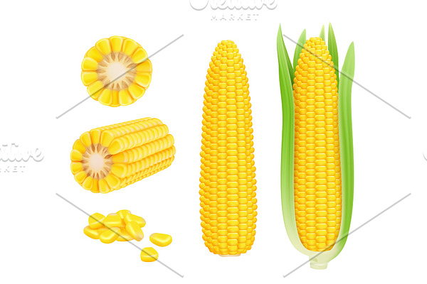 Corn cob realistic. Yellow canned