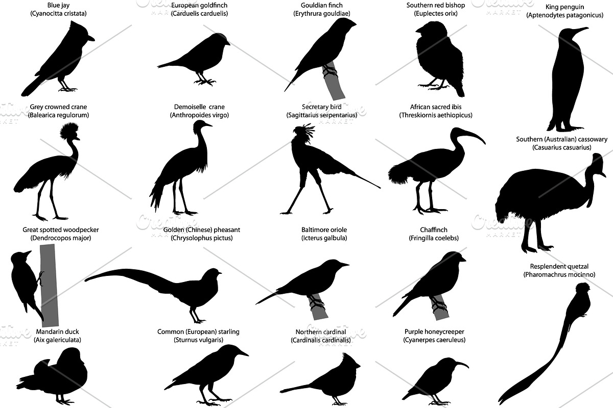 Silhouettes of birds in Illustrations - product preview 8