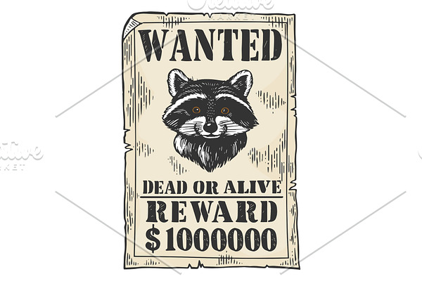 Poster with raccoon color engraving