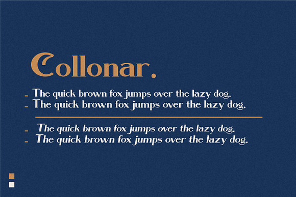 Collonar a vintage serif typeface in Serif Fonts - product preview 4