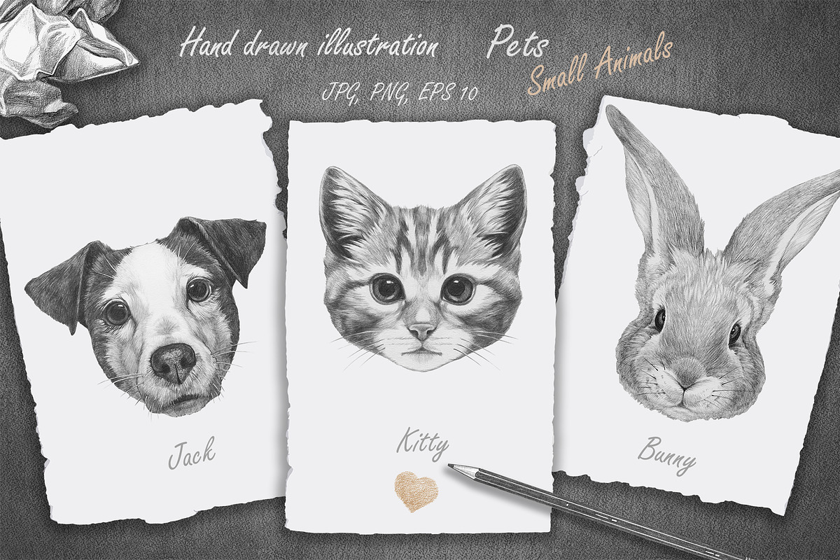 Pets / Small Animals in Illustrations - product preview 8
