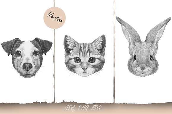 Pets / Small Animals in Illustrations - product preview 1