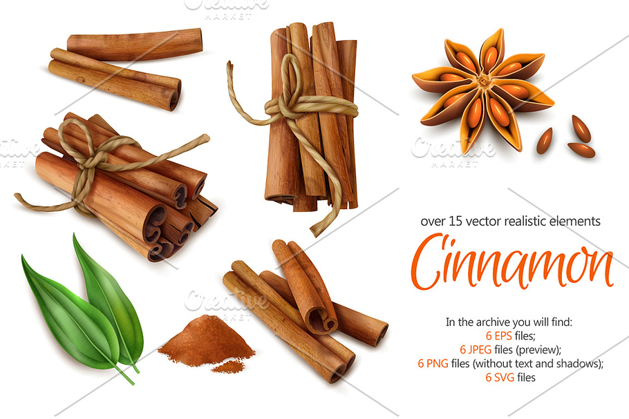 Cinnamon Realistic Set in Illustrations - product preview 8