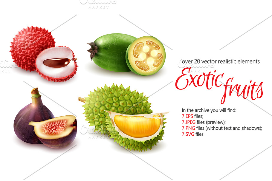 Exotic Fruits Set in Illustrations - product preview 8