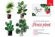 House Plants Realitisic Set
