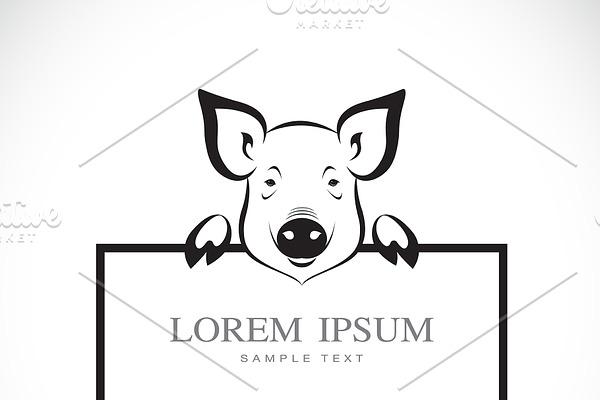 Vector of pig head with frame space 