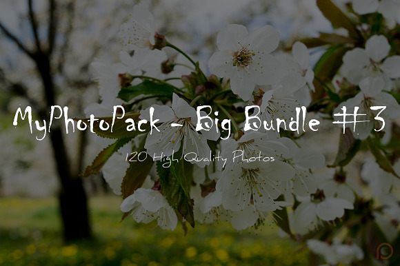 MyPhotoPack - Big Bundle #3 in Web Elements - product preview 4