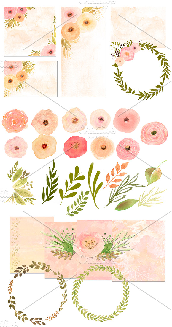 NUDE - 36 Watercolor Floral Elements in Illustrations - product preview 1