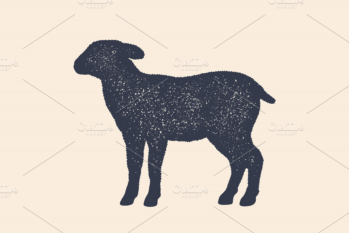 Lamb, sheep. Concept design of farm in Illustrations - product preview 8