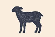 Lamb, sheep. Concept design of farm