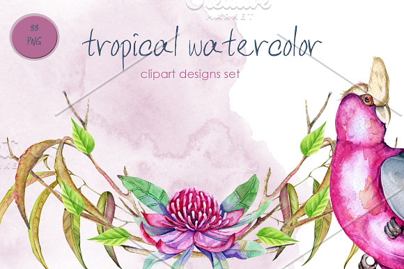 75% Off. Watercolor Bundle. 6 in 1 in Illustrations - product preview 4