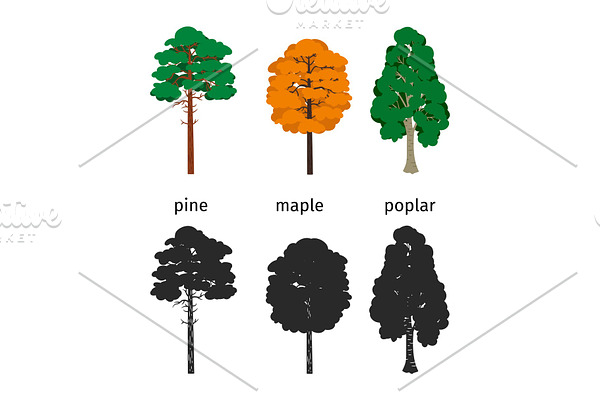 Vector forest trees isolated on