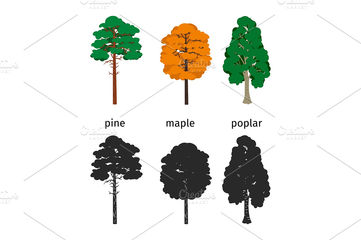 Vector forest trees isolated on in Graphics - product preview 8
