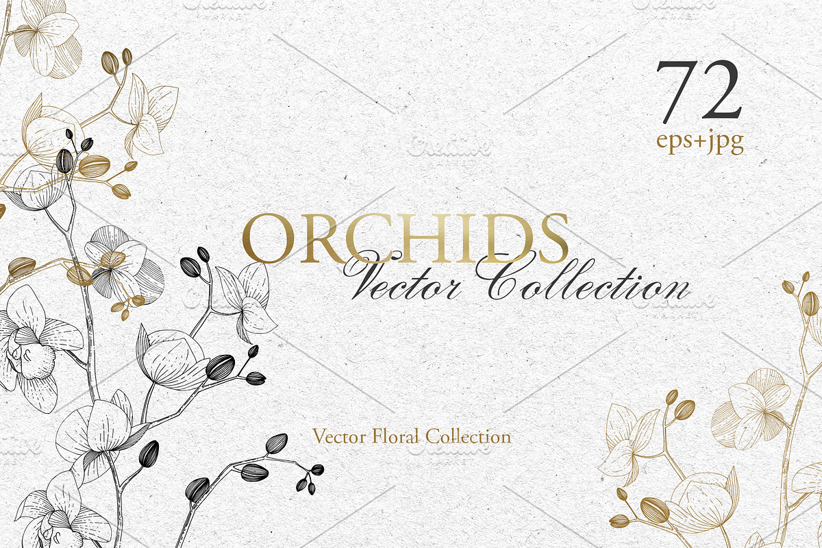 Branch of Orchids vector watercolor in Illustrations - product preview 8