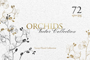 Branch of Orchids vector watercolor