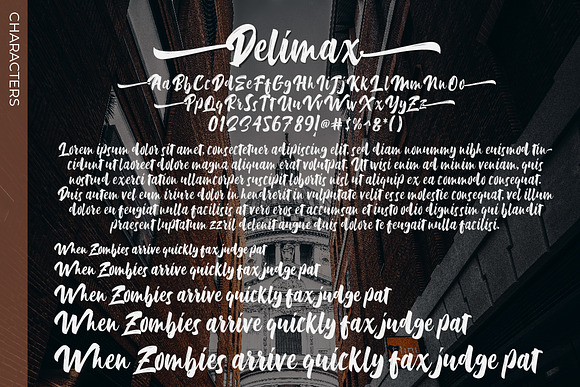 Delimax in Script Fonts - product preview 5