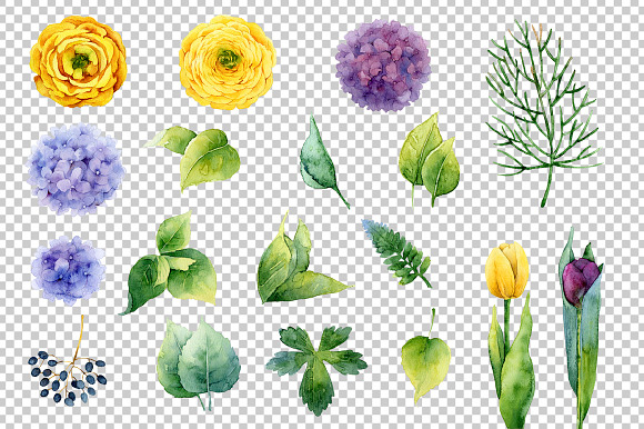 Watercolor floral collection in Illustrations - product preview 1