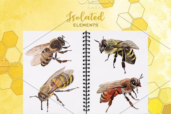 Bee Watercolor png in Illustrations - product preview 2