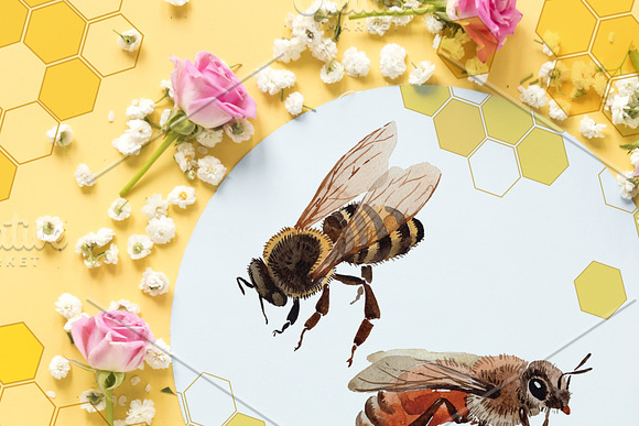 Bee Watercolor png in Illustrations - product preview 4