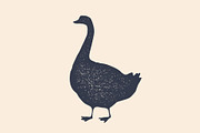 Goose, bird. Concept design of farm