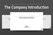 The Company Introduction