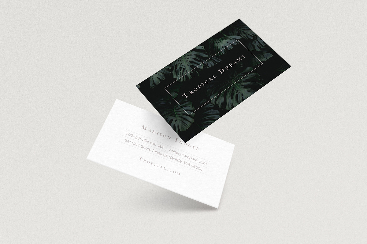 Tropical / Minimal Business Card in Business Card Templates - product preview 8