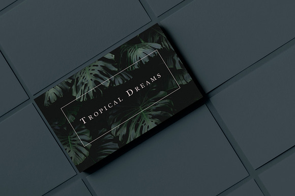 Tropical / Minimal Business Card in Business Card Templates - product preview 1