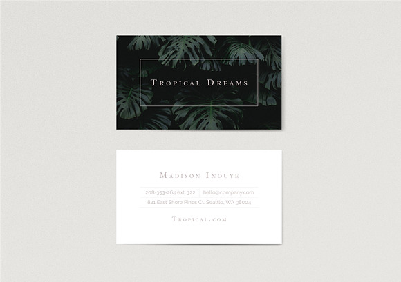 Tropical / Minimal Business Card in Business Card Templates - product preview 2
