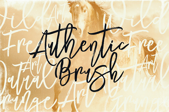 Mustang Brush Font in Script Fonts - product preview 1