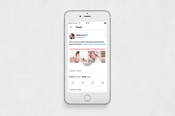 Dropshipping Twitter Posts in Twitter Templates - product preview 5