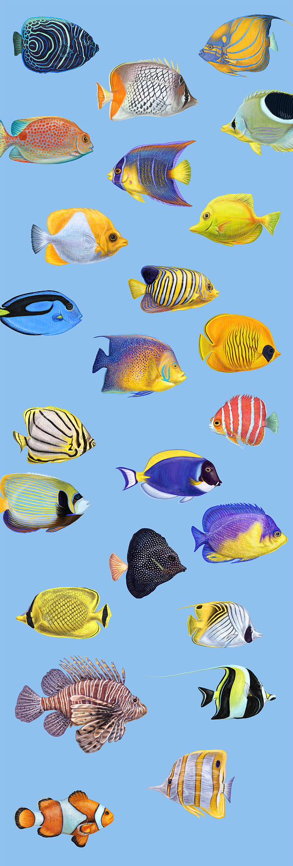 Tropical exotic fishes in Illustrations - product preview 10