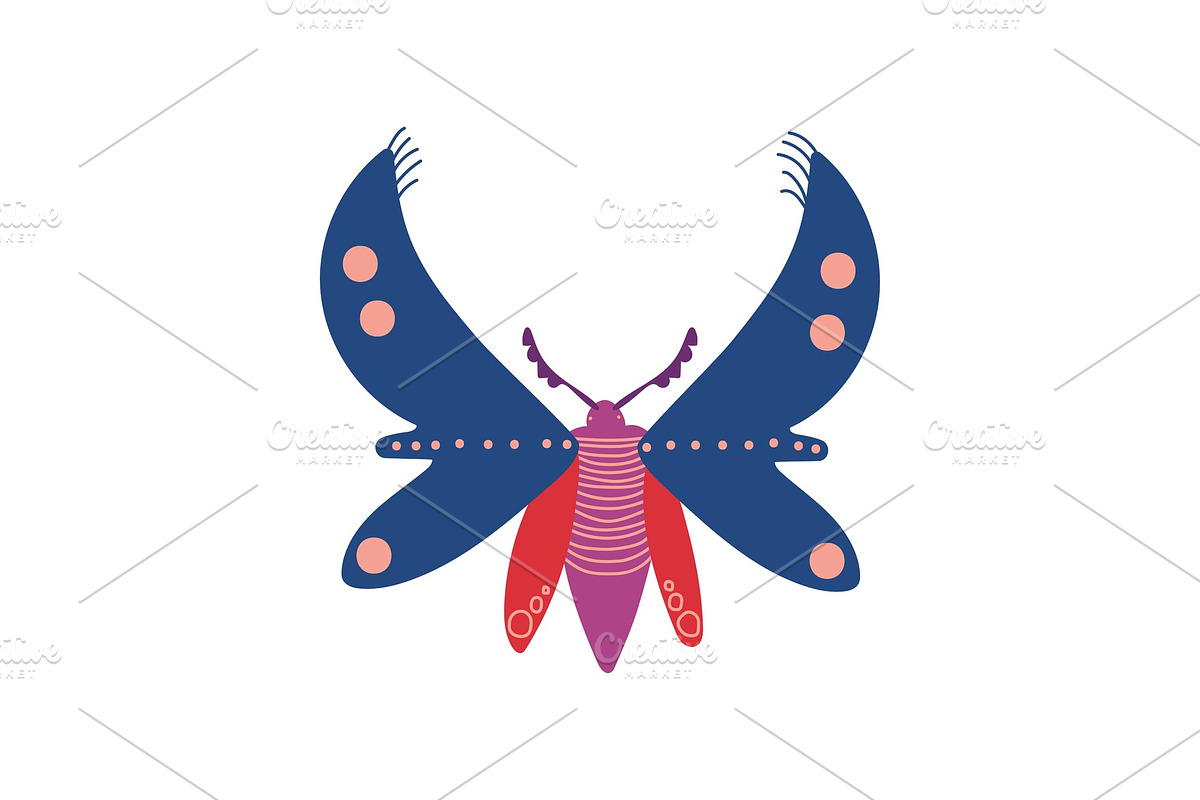 Flying Insect, Colorful Butterfly in Illustrations - product preview 8