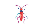 Cute Colorful Beetle Insect, Top