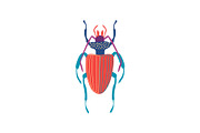 Cute Colorful Carabus Beetle Insect