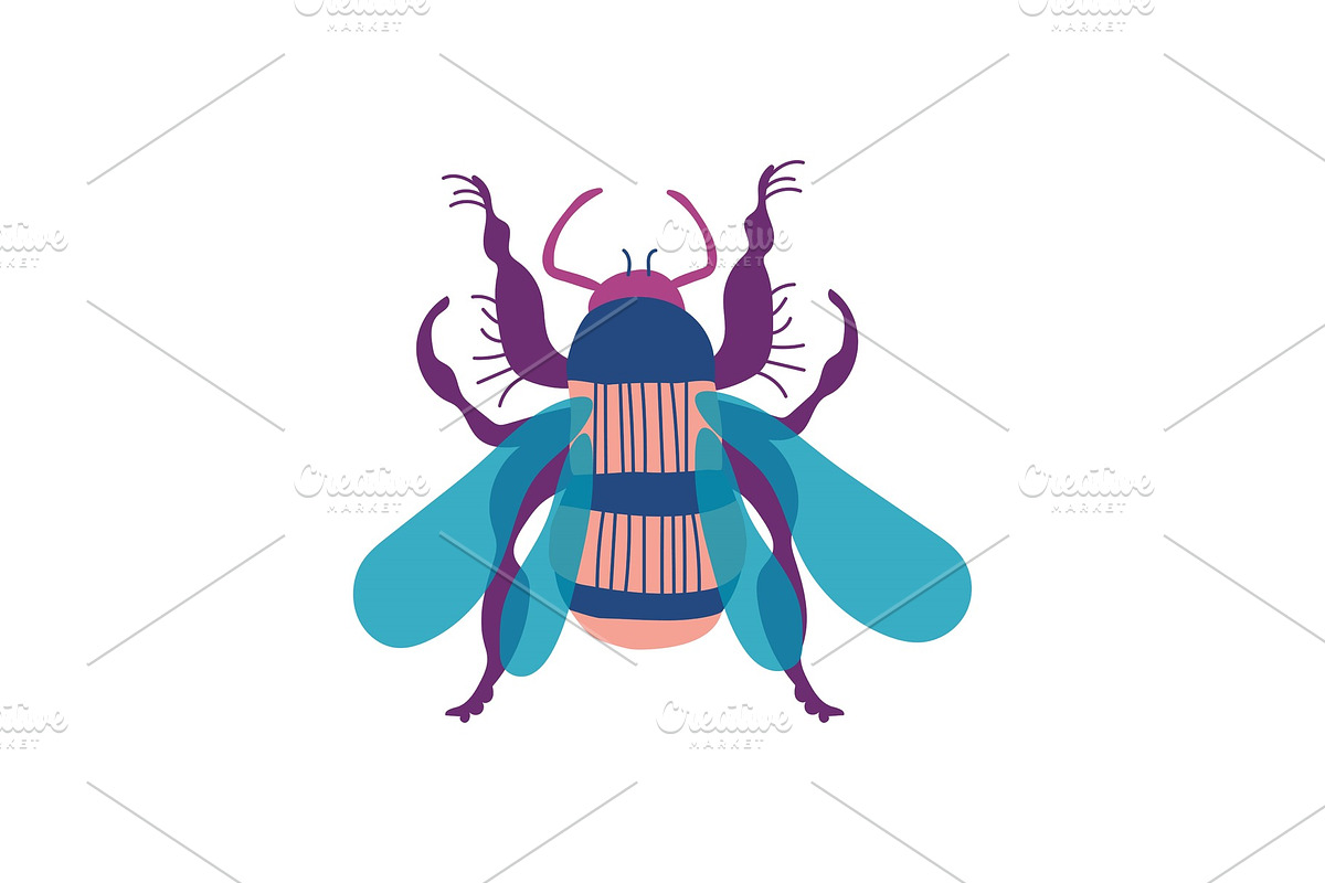 Cute Colorful Wasp Insect, Top View in Illustrations - product preview 8