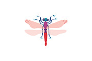Cute Colorful Dragonfly Insect, Top