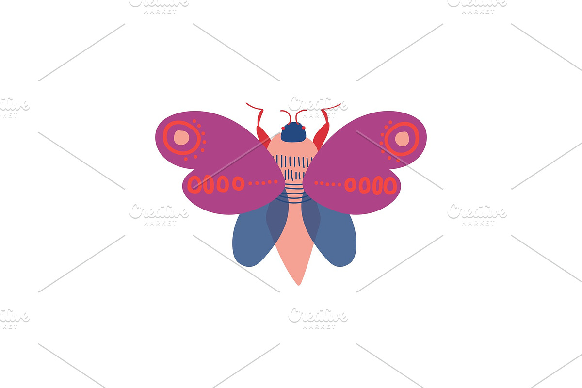 Cute Colorful Moth Insect, Top View in Illustrations - product preview 8